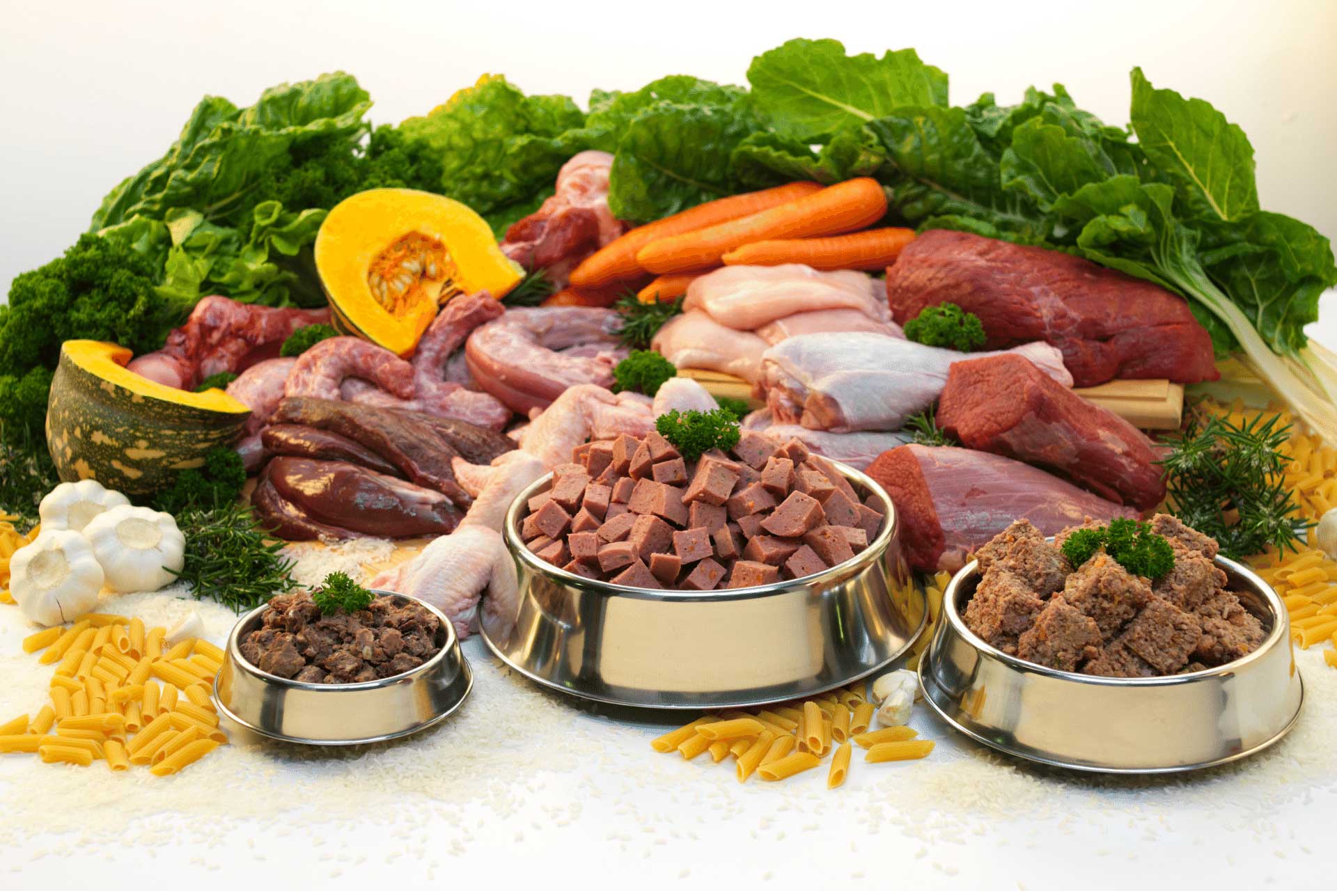 An Overview of Pet Nutrition and Diet Choices